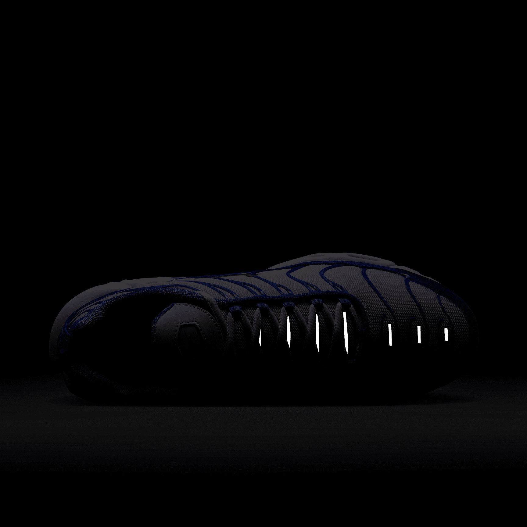 Nike Air Max Plus