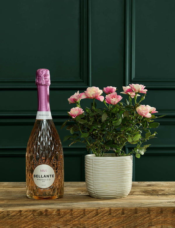 Pia Rose with Prosecco