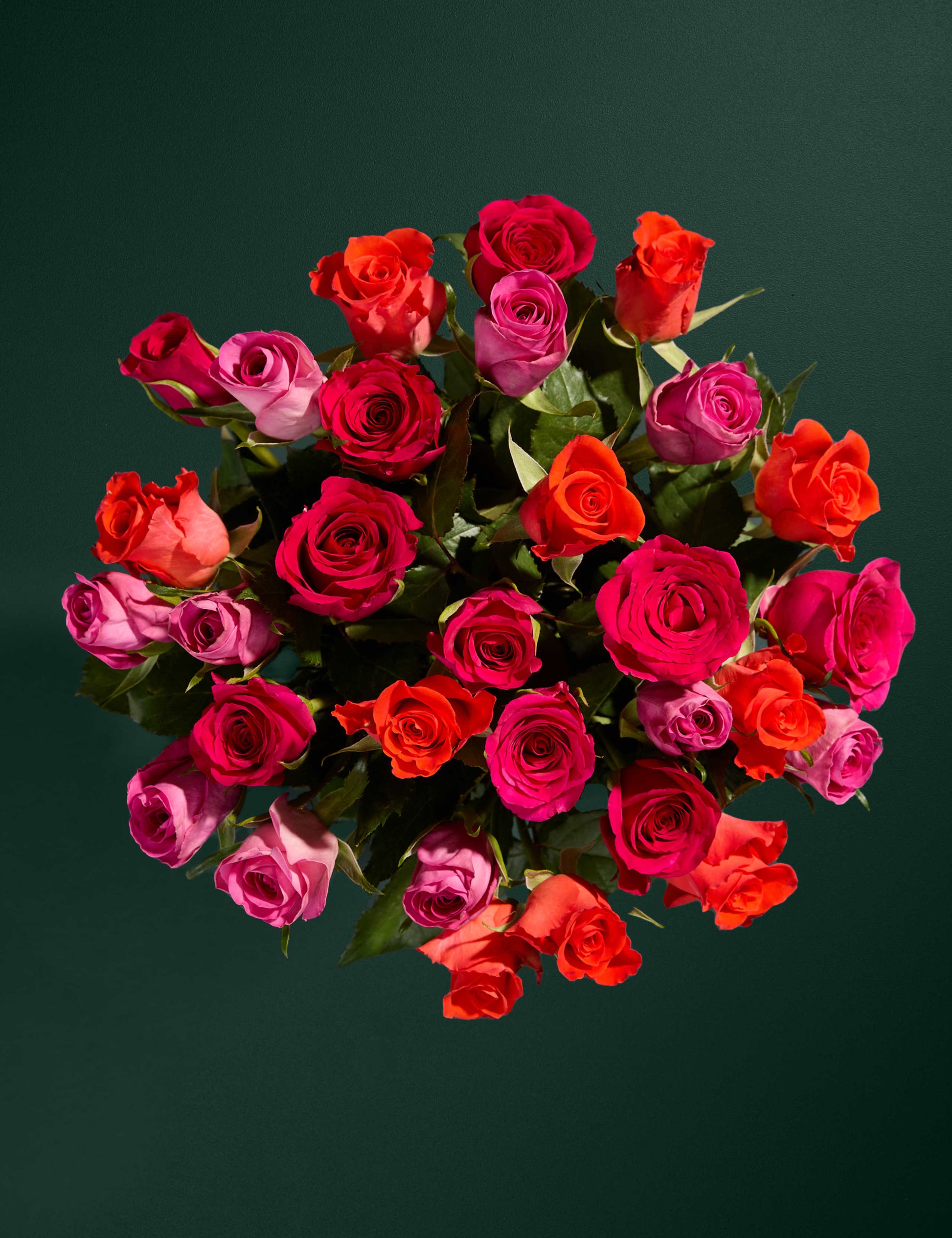 Radiant Rose Abundance Bouquet with Swiss Chocolates