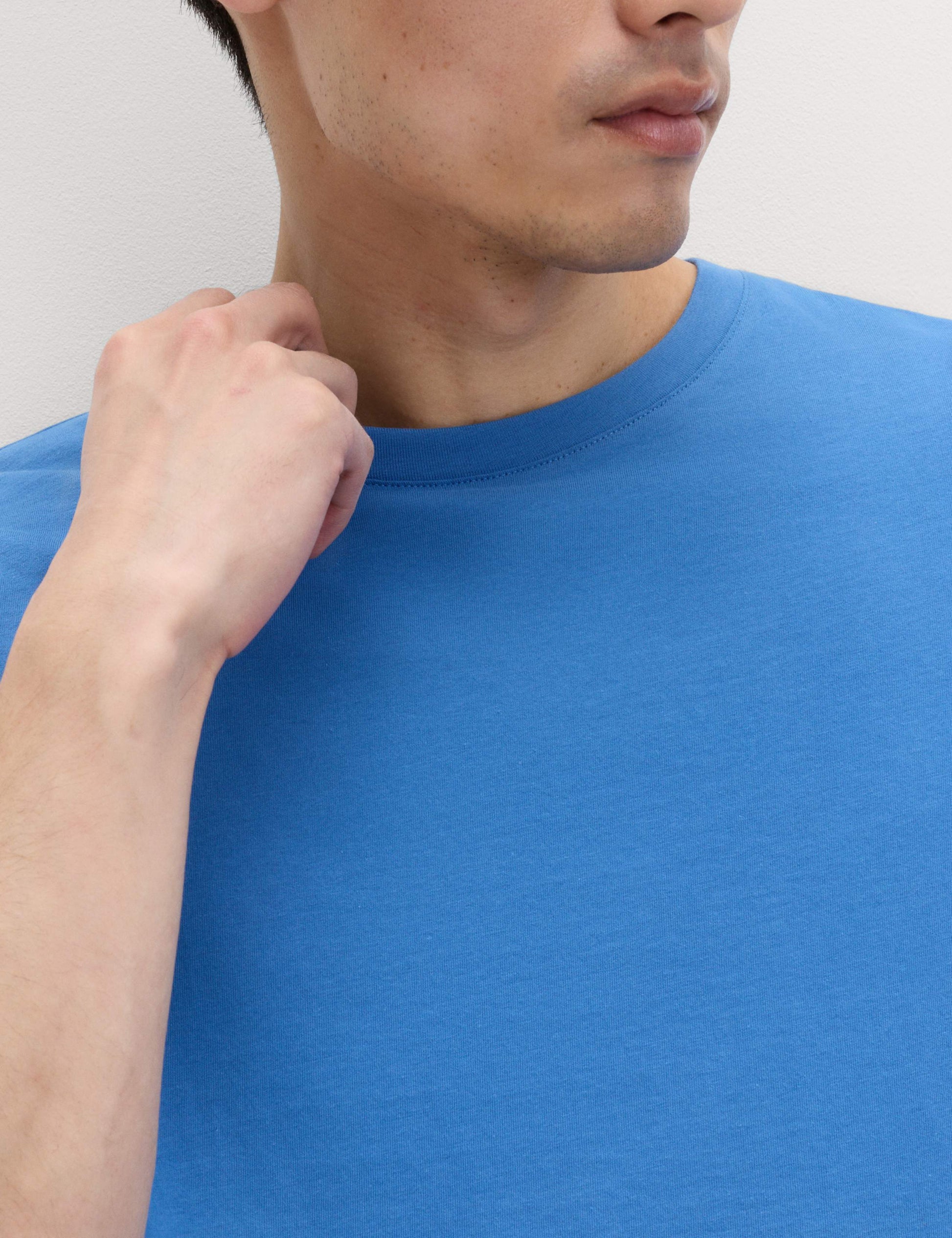 Regular Fit Pure Cotton Crew Neck T-Shirt