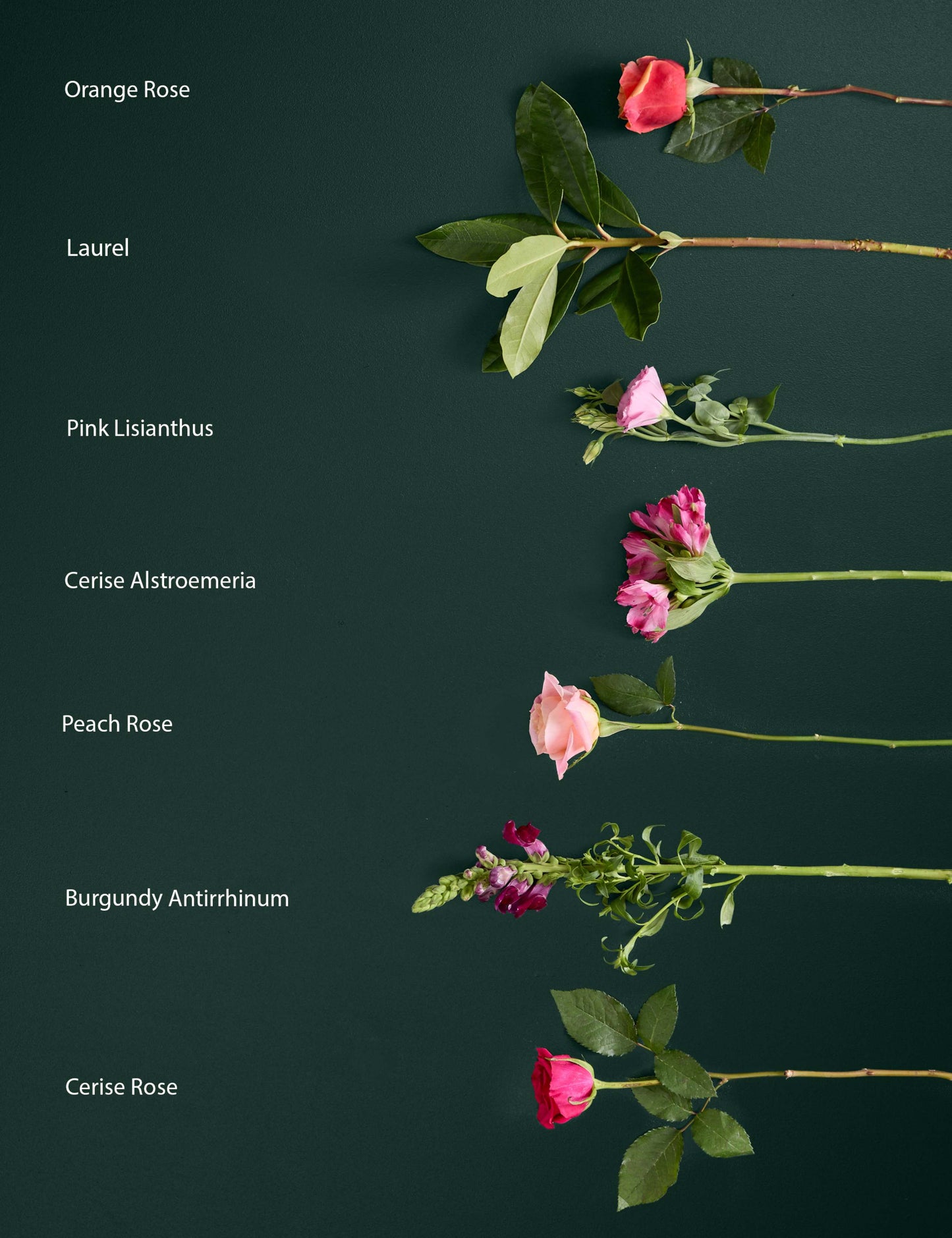 Roses, Lisianthus & Antirrhinum Bouquet with Chocolates & Vintage Champagne