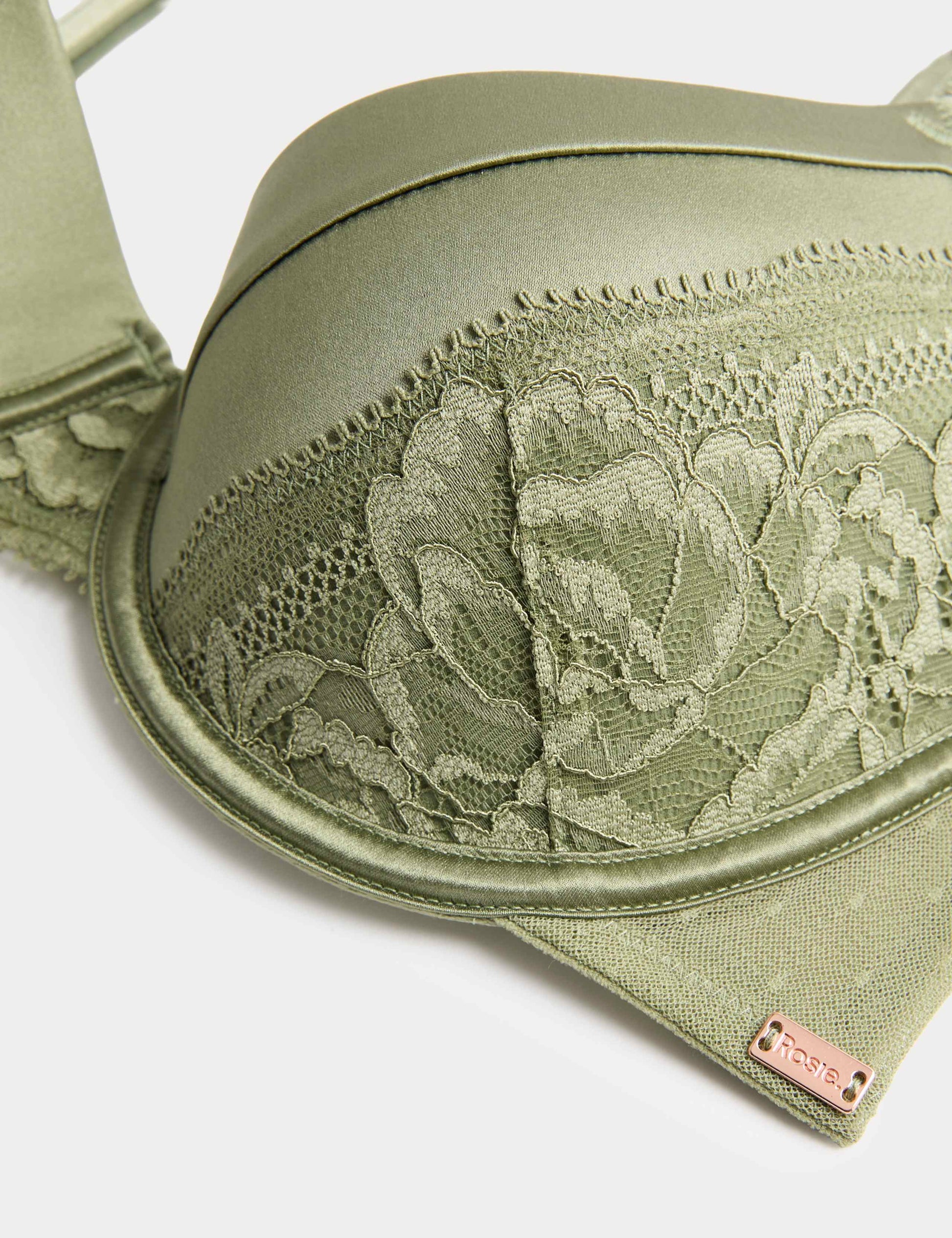 Silk & Lace Wired Scoop Demi Cup Bra (A-E)