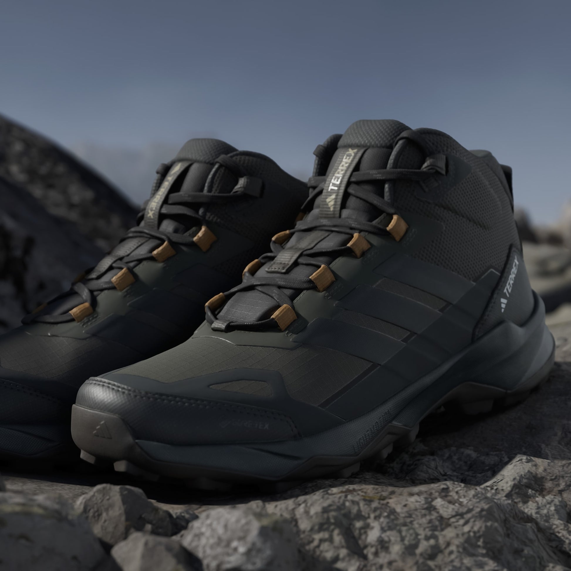 Terrex Skychaser AX5 Mid GORE-TEX Hiking Shoes