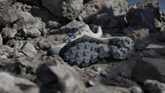 Terrex Skychaser Ax5 Hiking Shoes