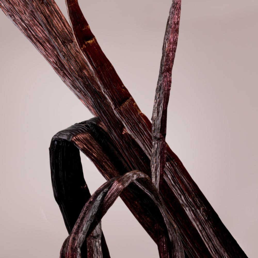 Valentino Valentina Eau De Parfum 100ml