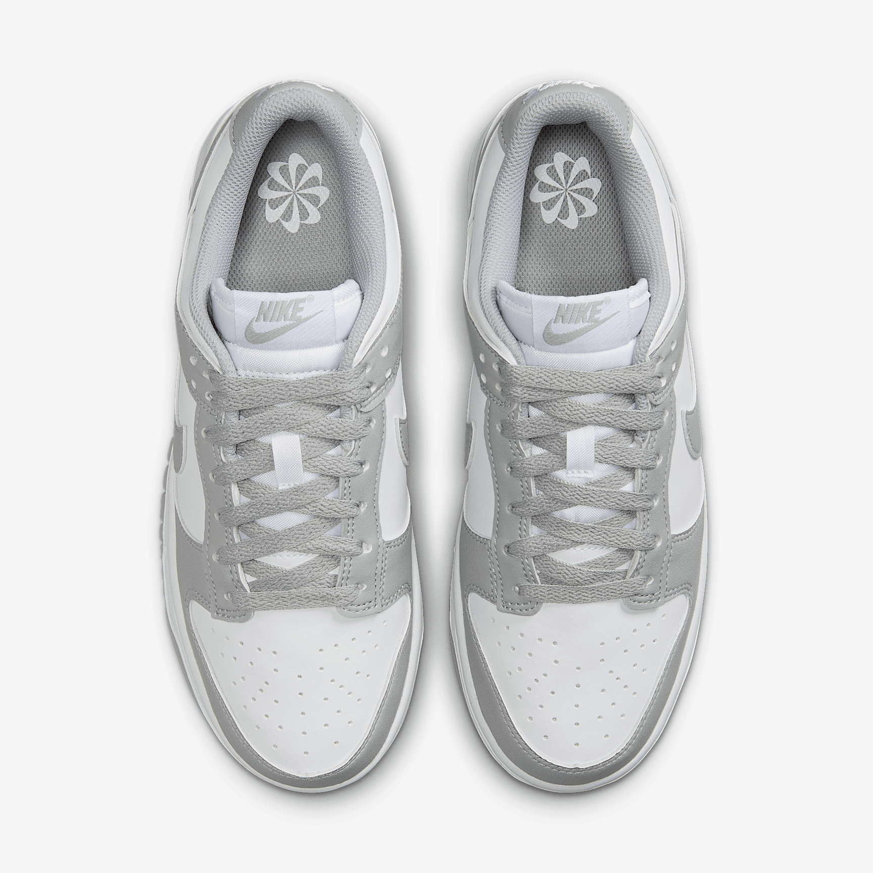 Nike Dunk Low Next Nature Women's Shoes