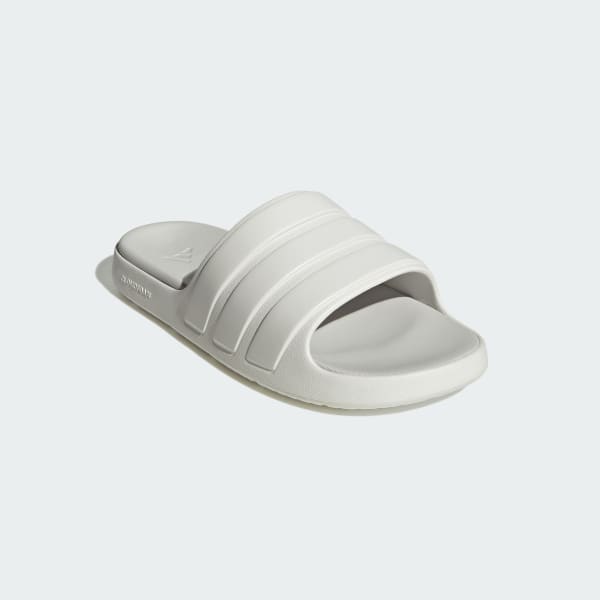 Znsory Slides