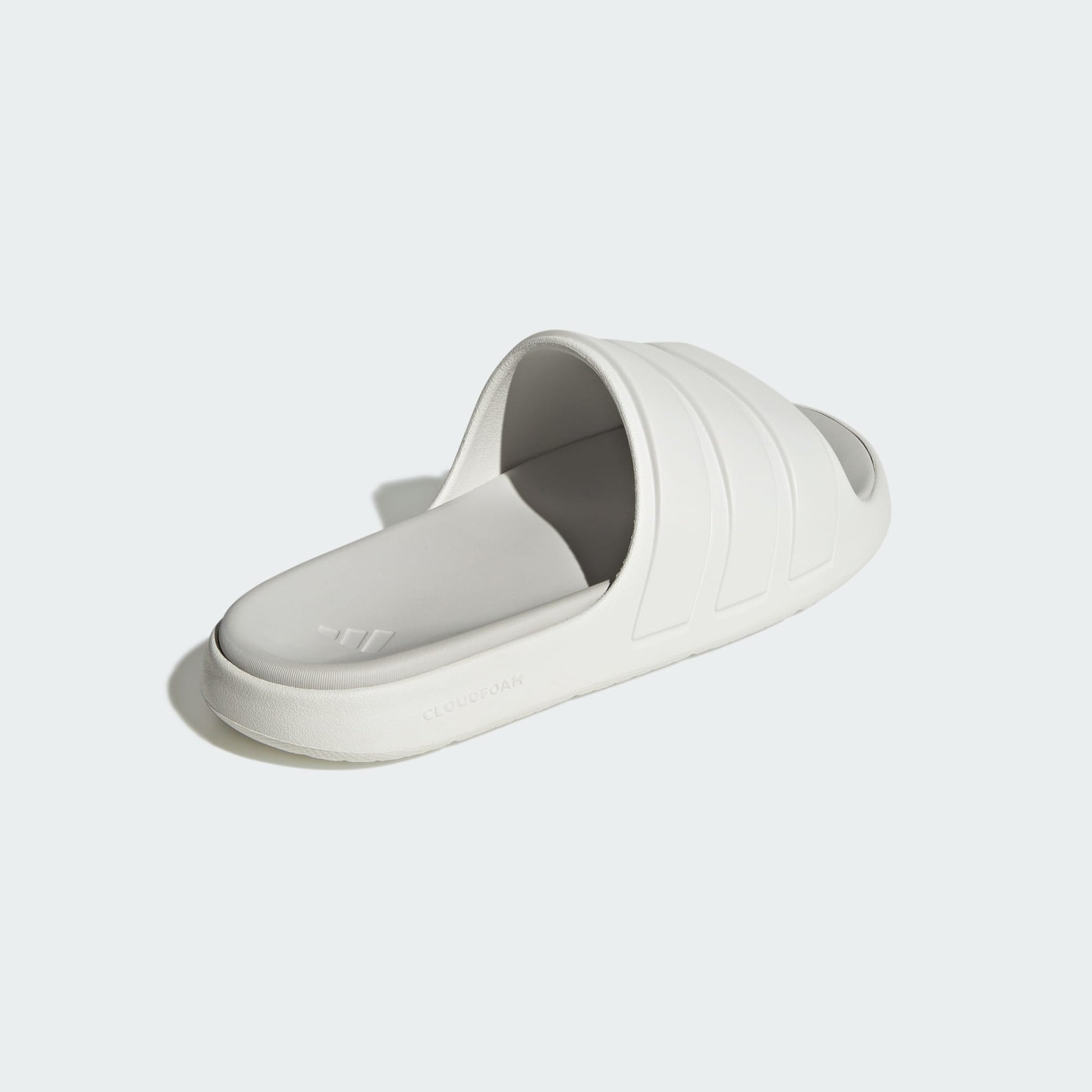 Znsory Slides