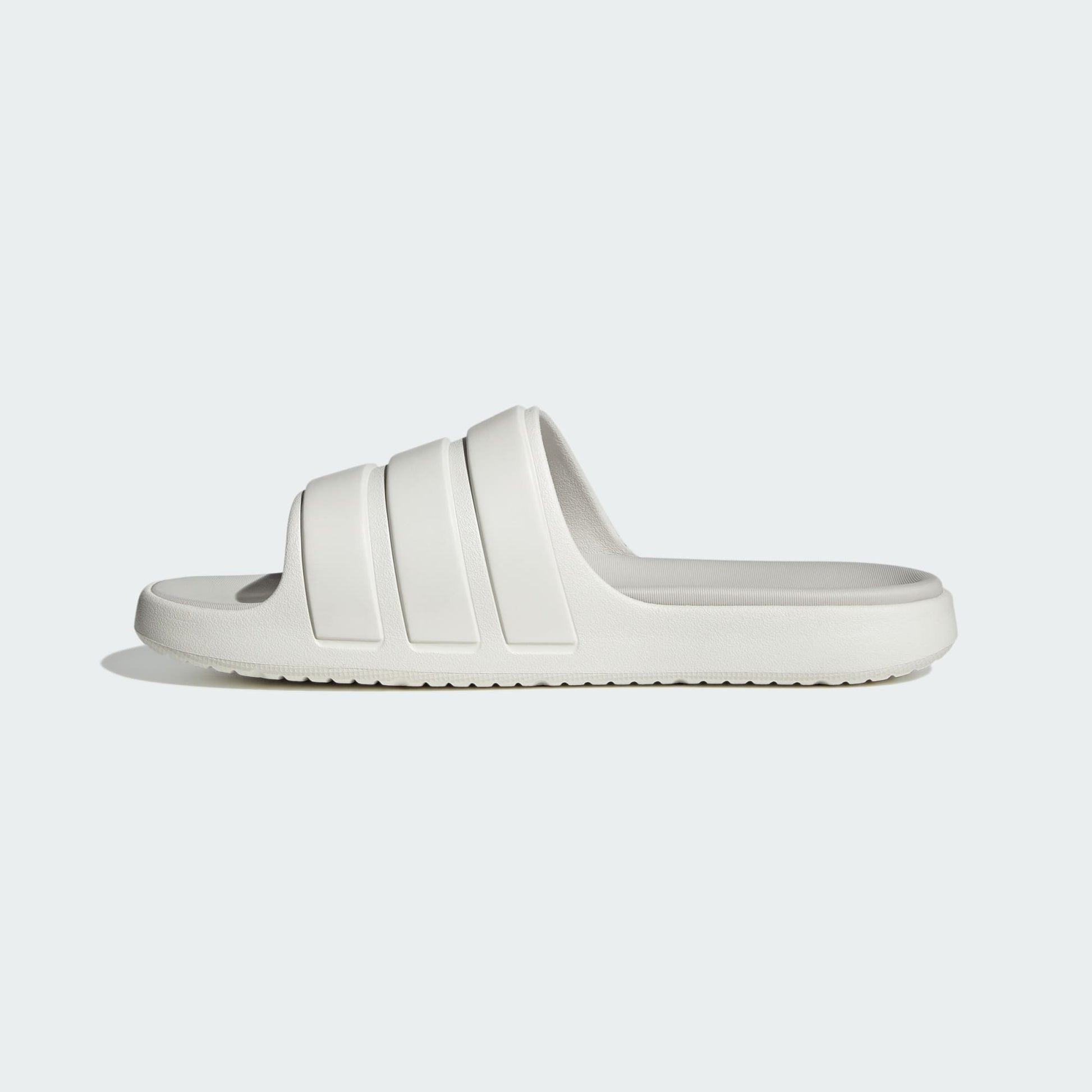 Znsory Slides