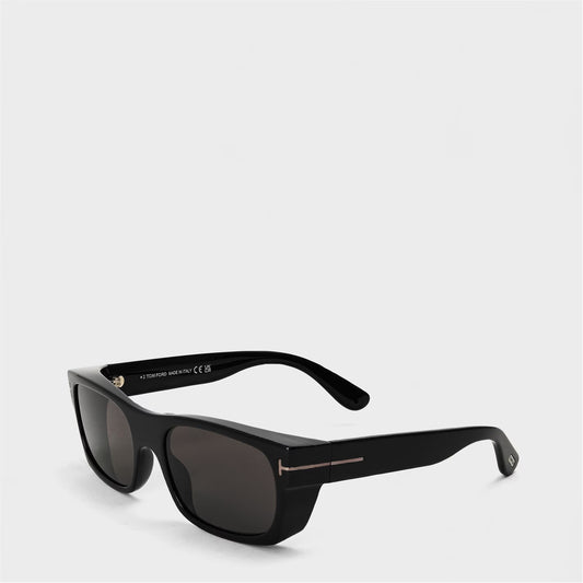 Men's Wayfarer Sunglasses, Wayfarer Style