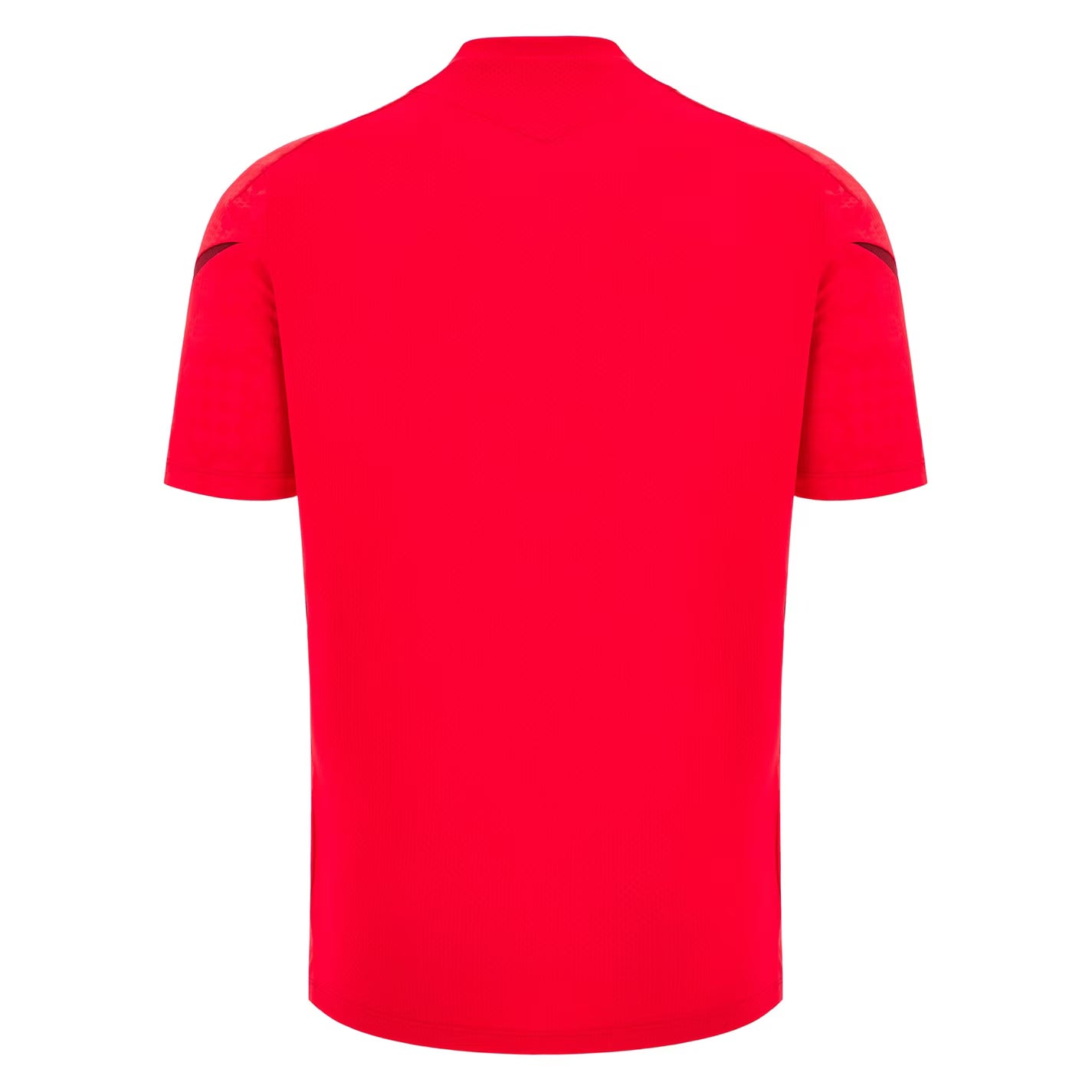 Wales Rugby Training Shirt 2025 Adults