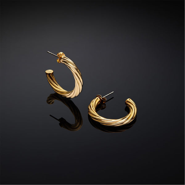 Bold Hoop Earrings