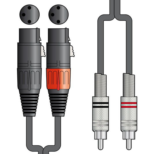 Citronic Twin 2 x RCA Plugs to 2 x XLR Female Cable