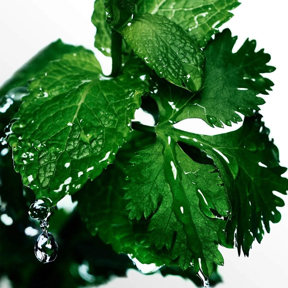 Davidoff Cool Water for Men Eau De Toilette 40ml