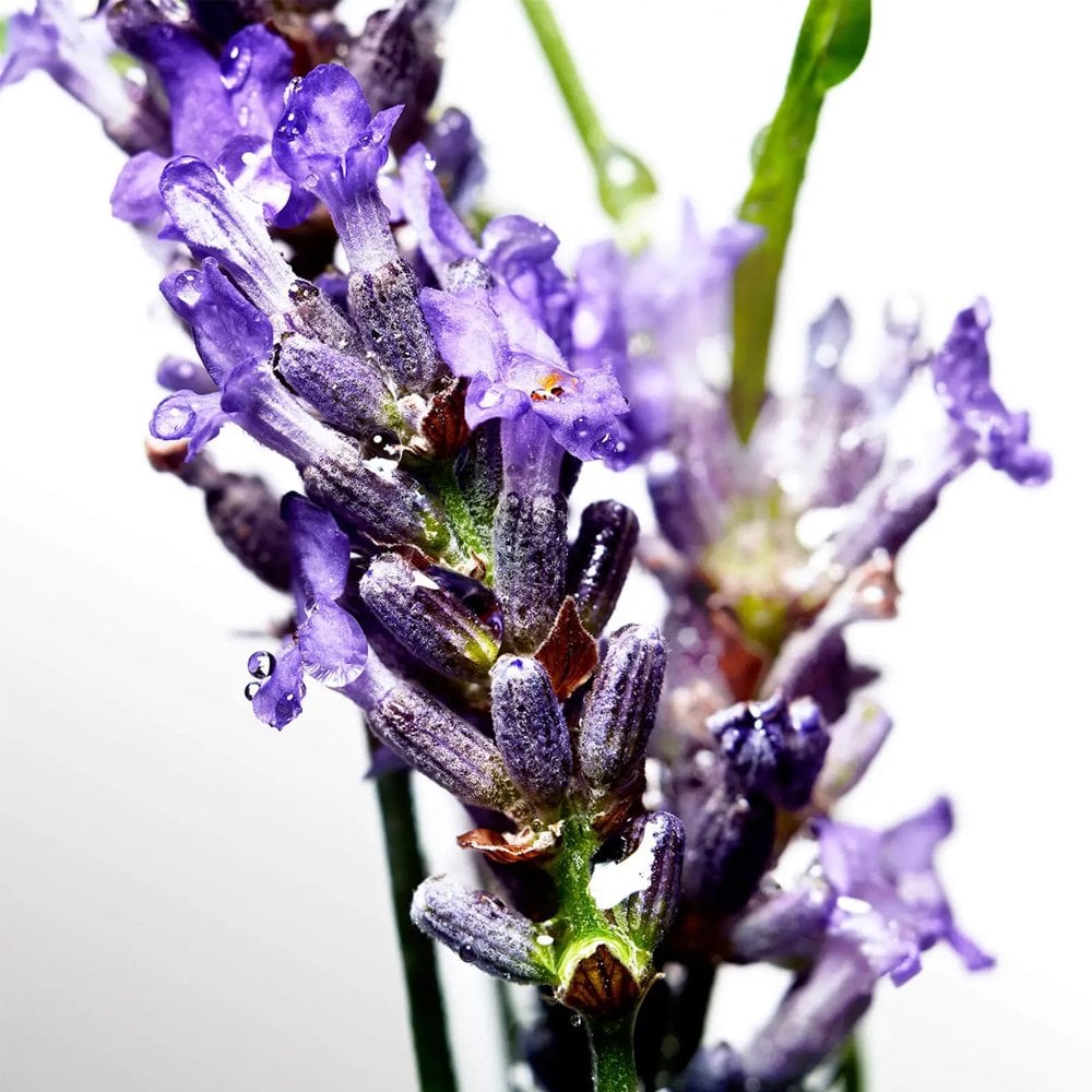 Davidoff Cool Water for Men Eau De Toilette 40ml