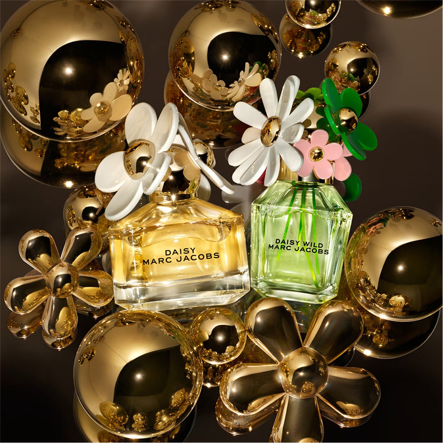 Daisy Wild Eau de Parfum for Women Trio Giftset 100ml