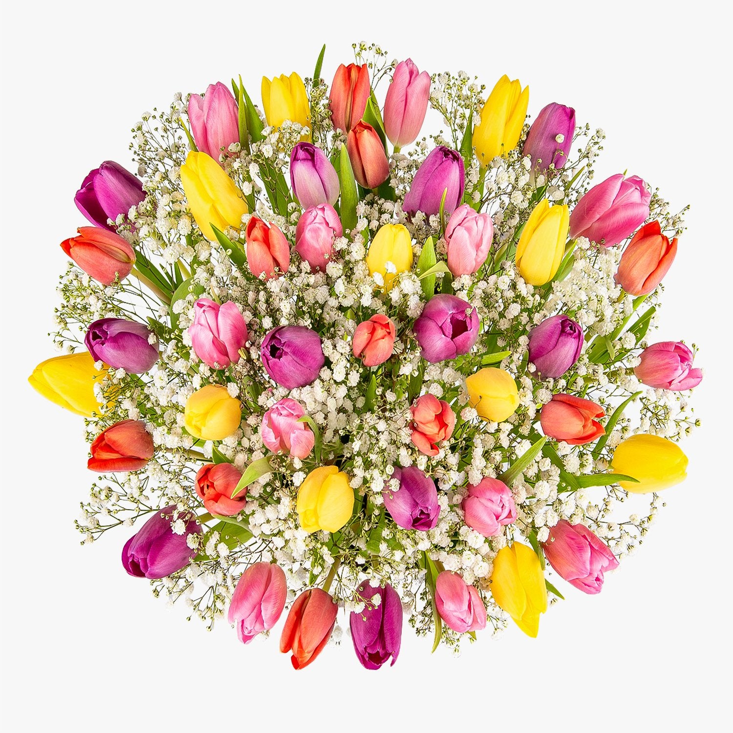 Mixed Tulips