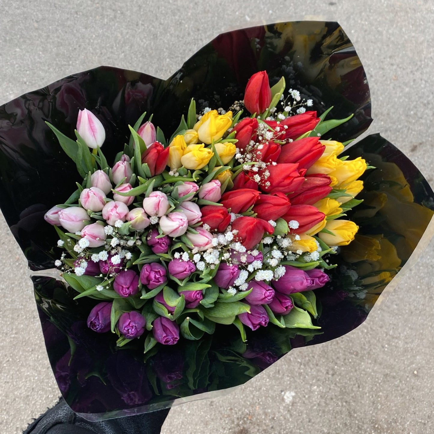 Mixed Tulips