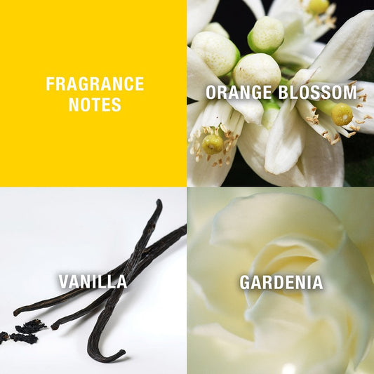 Giorgio Beverly Hills Eau De Toilette 90ml