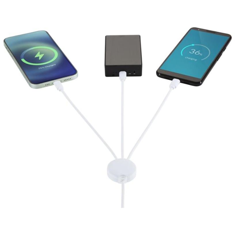 Pure 5-in-1 Charging Cable