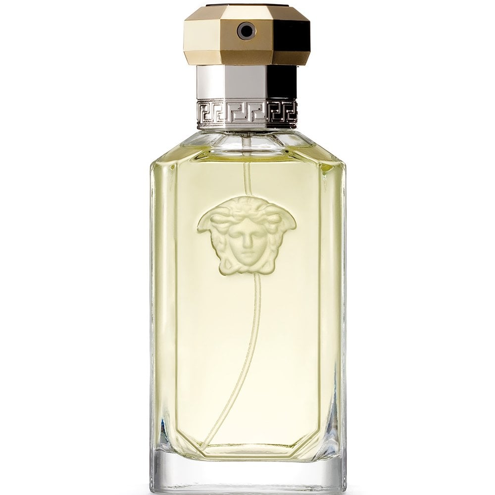 Versace Dreamer Eau De Toilette 100ml – Interactive Group